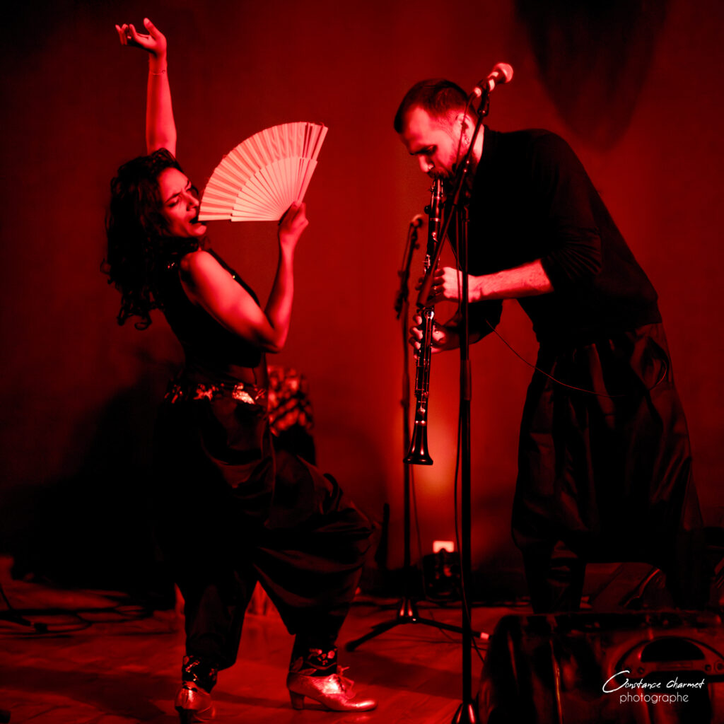 Photographe spectacle flamenco scène artiste