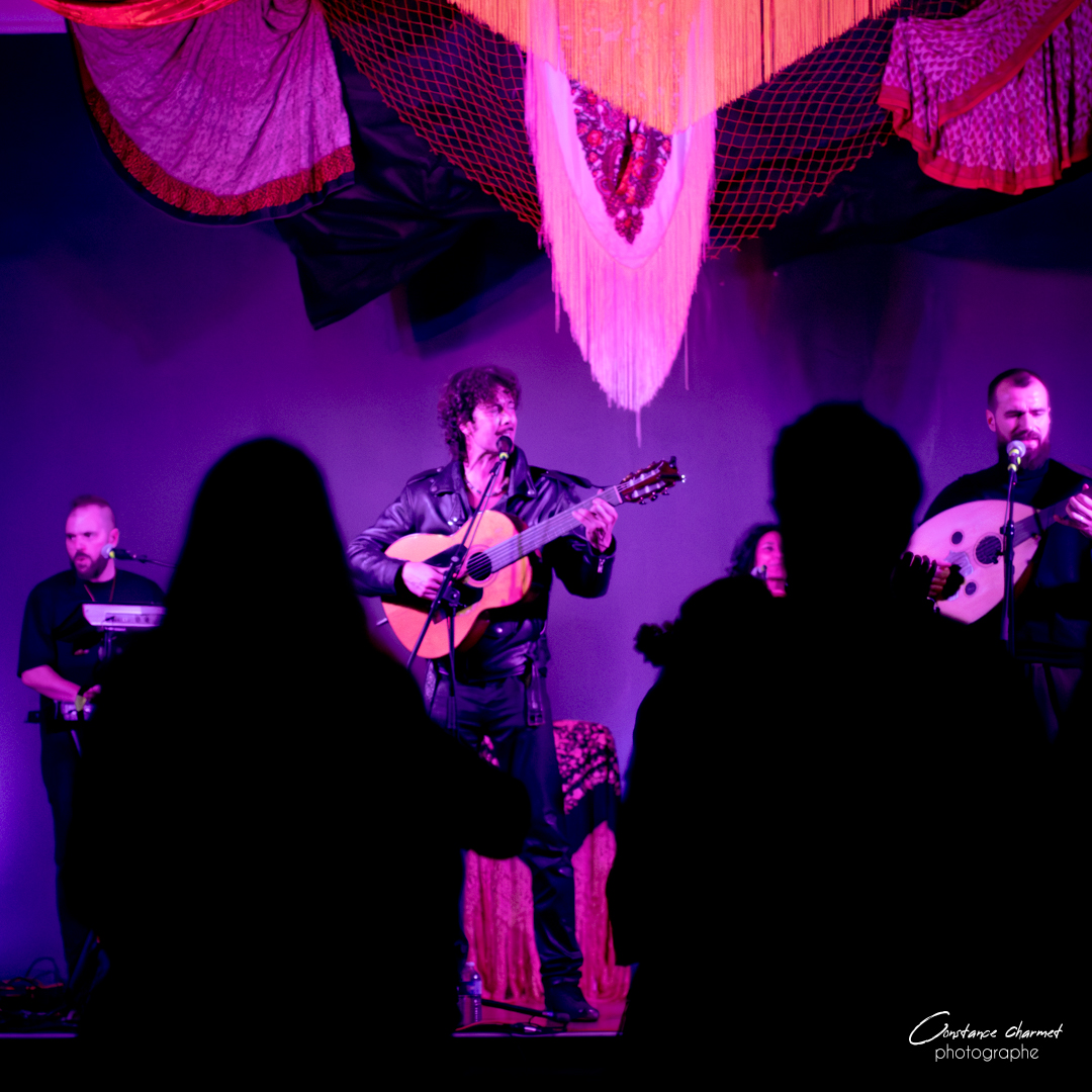 Photographe concert en Occitanie – chanteur en mouvement