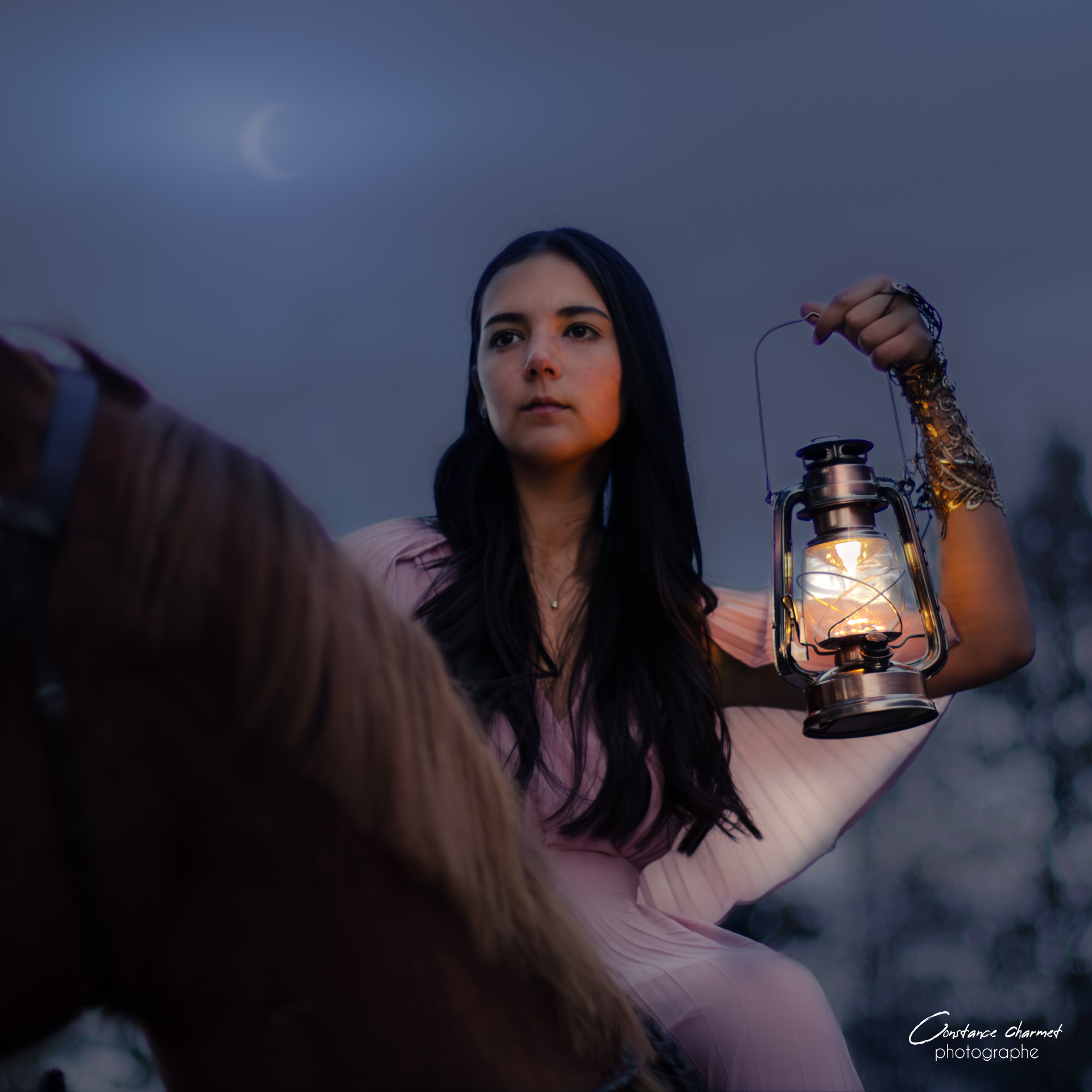 Portrait artiste avec cheval Gers – press kit